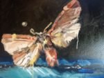 Moth, 50 x 70cm oil on canvas