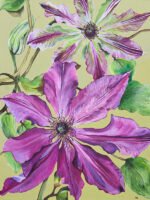 Clematis