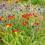 Cambridge botanical garden Award