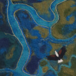 Fish Eagle over the Okavango - cropped (felt)