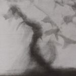 Storm Bert Aquatint 19.5x30cm