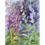 purple penstemon - watercolour