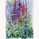 red penstemon - oil pastel